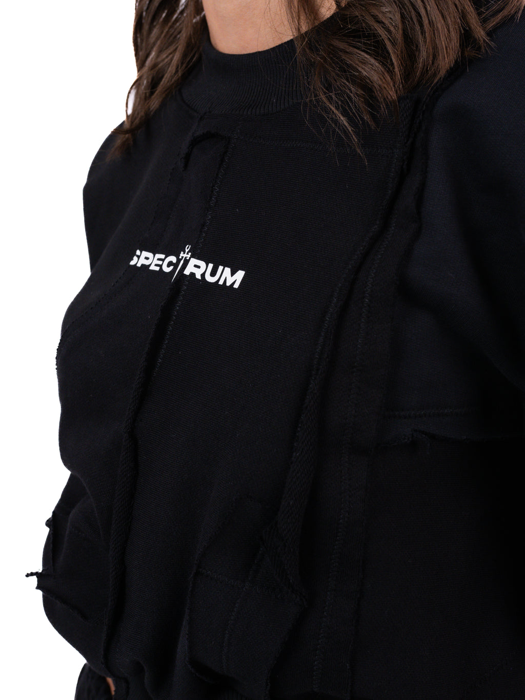 Spectrum Patchwork Cropped Sweatshirt