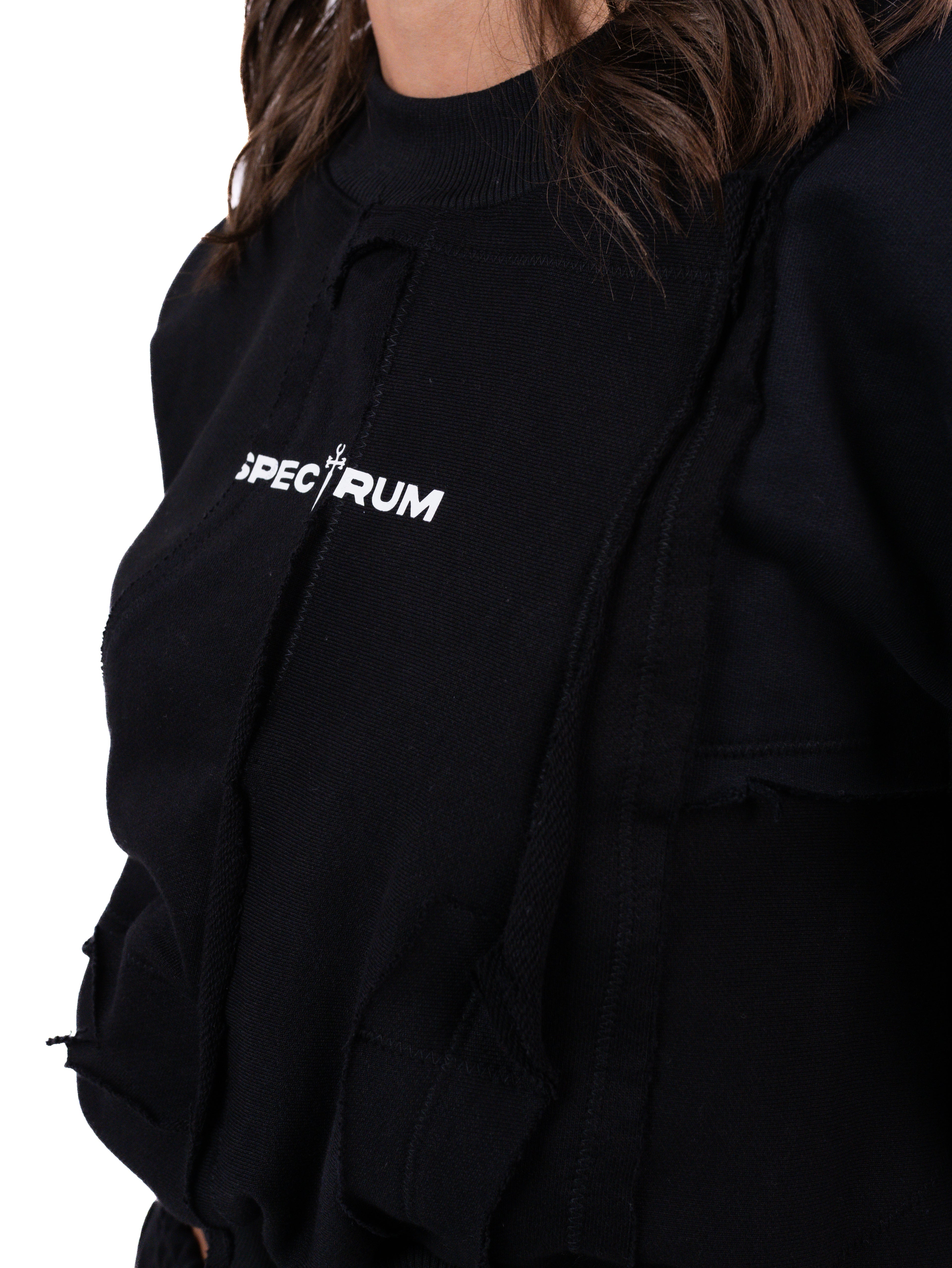 Spectrum Patchwork Cropped Sweatshirt