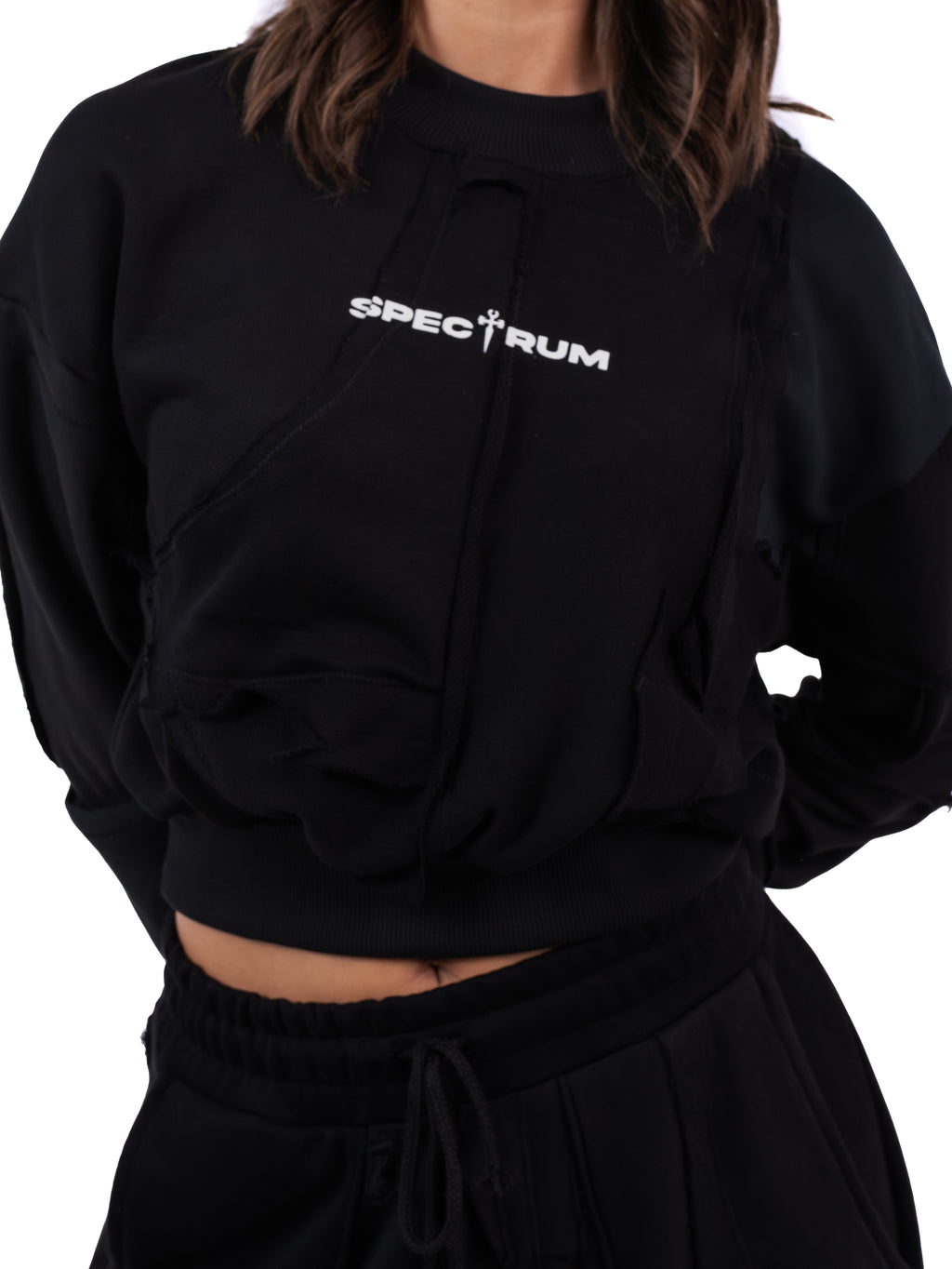 Spectrum Patchwork Cropped Sweatshirt